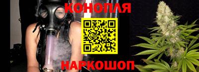 гидропоника Апшеронск