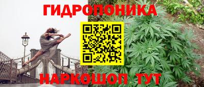гидропоника Апшеронск