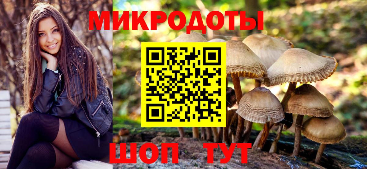 Псилоцибиновые грибы Cubensis Верхний Уфалей